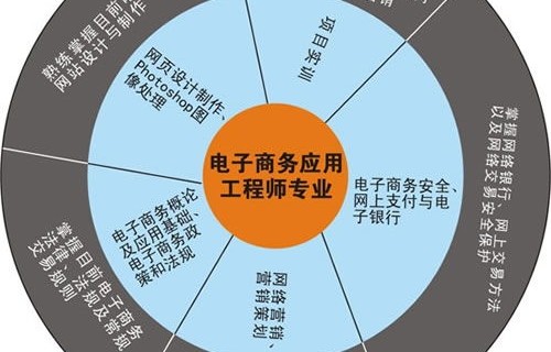 电子商务师的专业方向
