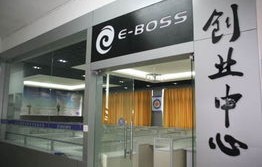 E-BOSS高级电子商务专业