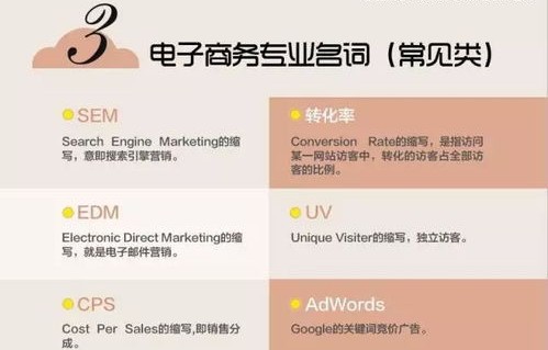 电子商务专业知识的认识