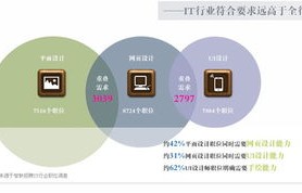 电子商务技巧与专业技能