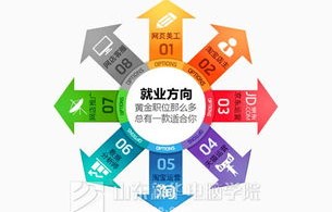 开设电子商务专业必要性