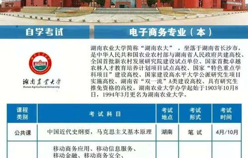 电子商务本科是什么专业