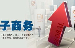 中专生电子商务专业作品