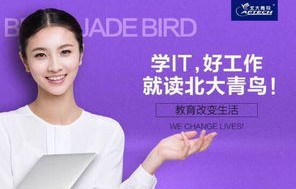 女孩能学电子商务专业吗