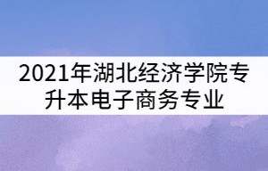 湖北电子商务专业升本