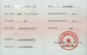 电子商务专业一级证书