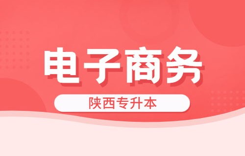 电子商务类相关专业本科