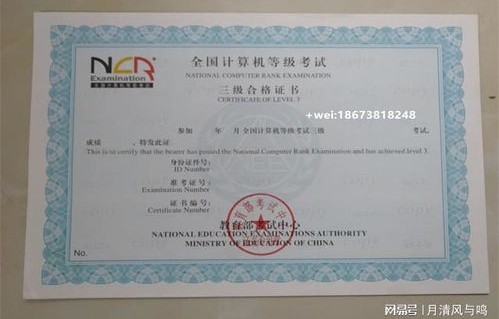 电子商务专业能考的证书