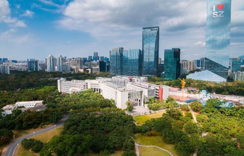 深圳大学的电子商务专业