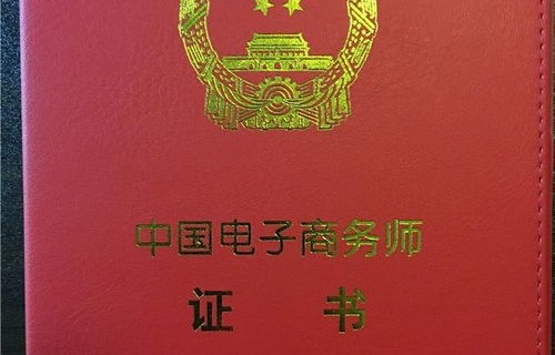 电子商务师专业解读书