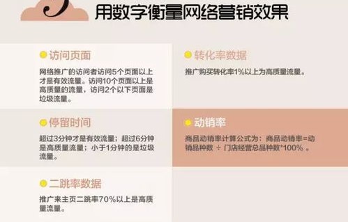 电子商务专业知识的论文