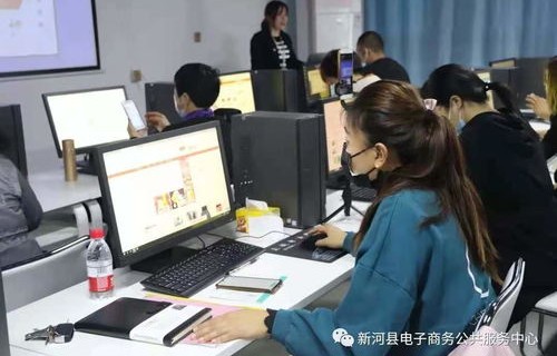 电子商务专业人才都在哪