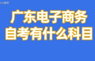 自考电子商务专业好不好