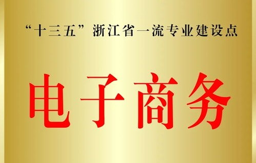 电子商务一流专业申报