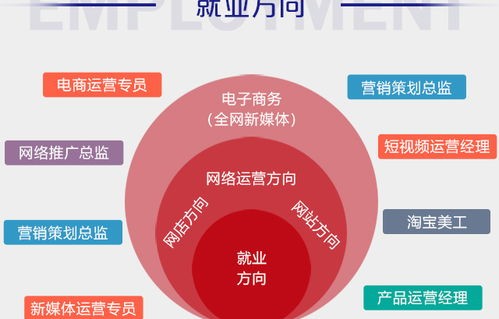 电子商务专业对职业规划