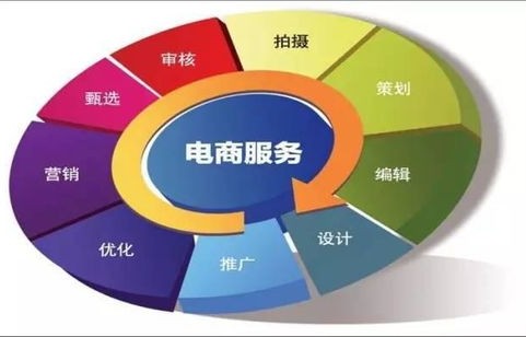 电子商务专业技能的情况