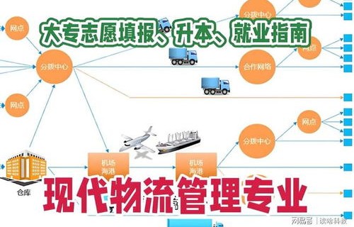 供应链与电子商务专业