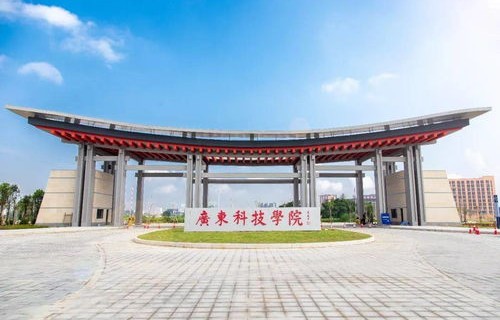 广东有电子商务专业大学