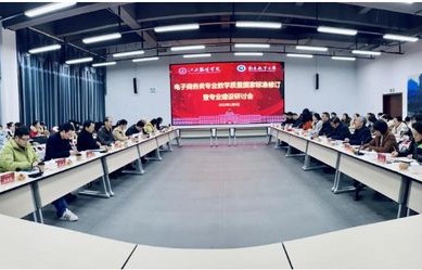 专业型电子商务服务质量