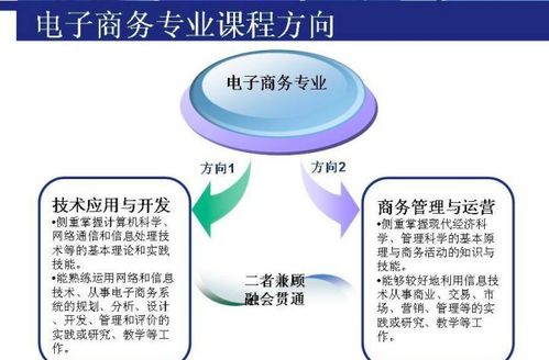 电子商务能考食品专业吗