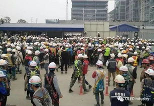 山东爆炸工厂母公司与当地首富有关