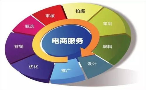 电子商务的专业技能素质