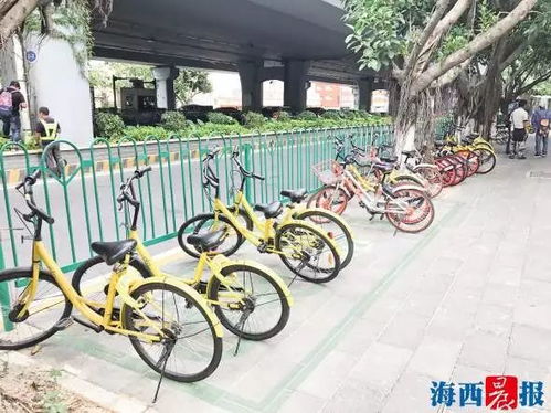 多地公共自行车退场现象的深度解析