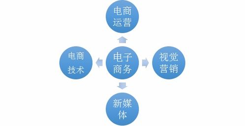 面试电子商务专业怎么说