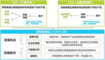 专业性电子商务是什么