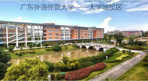 安师大有电子商务专业吗