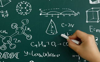 留学电子商务专业研究生