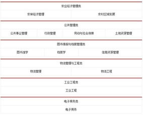 电子商务专业公务员报考