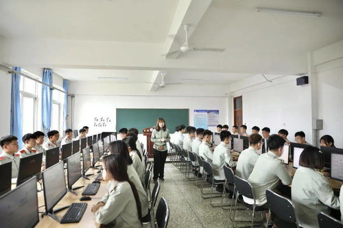 电子商务的专业化特点