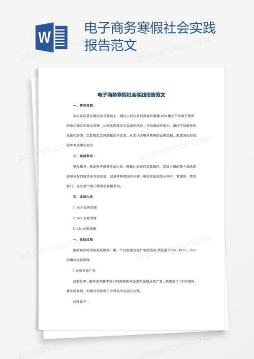 电子商务跨专业实训报告