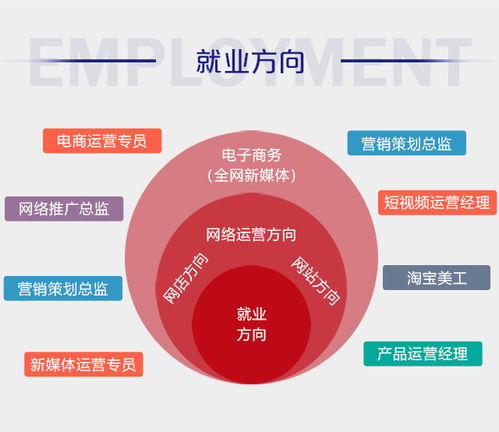 电子商务专业对职业规划