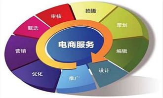 电子商务单招专业课