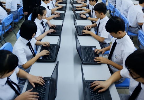 电子商务专业大专生