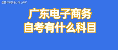 自考电子商务专业好不好