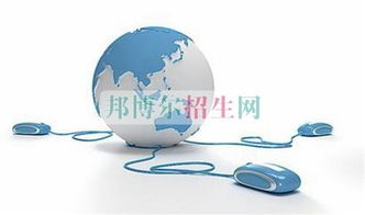 电子商务专业分哪几种