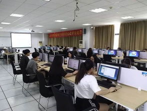 艺考电子商务专业学什么