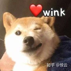 单招电子商务专业考啥