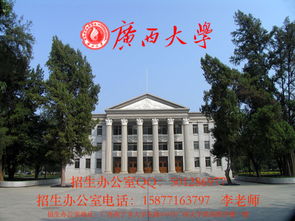 文科生报考电子商务专业
