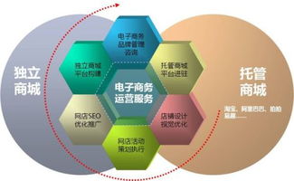 电子商务专业大类和类别