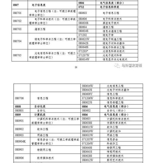 电子商务专业能考编制吗