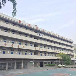 民航电子商务专业怎么样