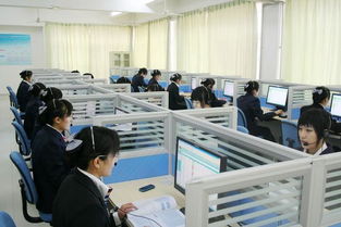 电子商务专业路怎么走