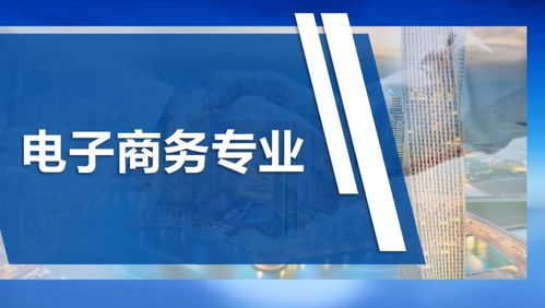 电子商务五项专业技能