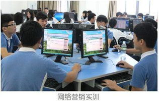 电子商务学专业怎么样学