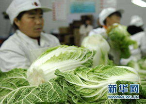 韩国西瓜价格飙升，一颗西瓜竟达156元人民币